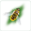 Digital Bee Art Clip Art